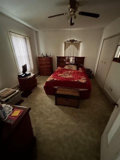 19364 US Highway 34, Princeton, IL 61356 - bedroom with carpet floors and ceiling fan
