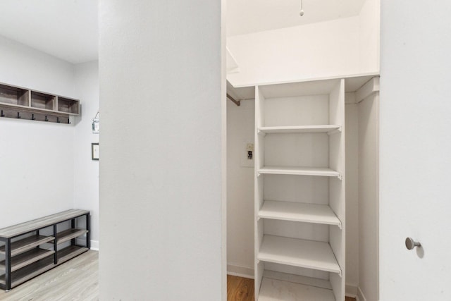 400 E Randolph St Unit 2424, Chicago, IL 60601 - spacious closet with light wood-style floors