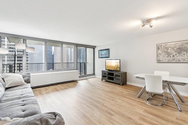 400 E Randolph St Unit 2424, Chicago, IL 60601 - living area featuring baseboards and light wood-type flooring