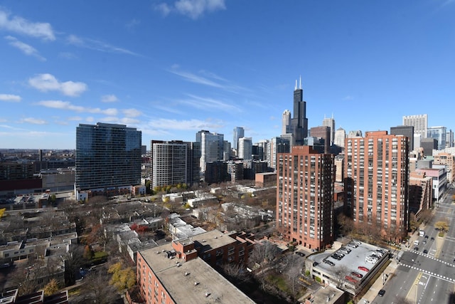 1101 S State St Unit 2100, Chicago, IL 60605 - city view