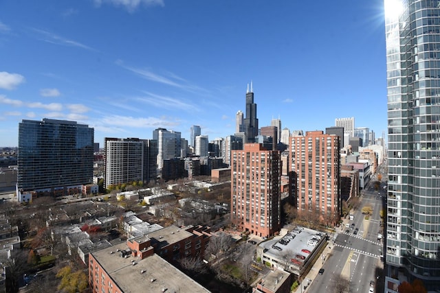 1101 S State St Unit 2100, Chicago, IL 60605 - city view