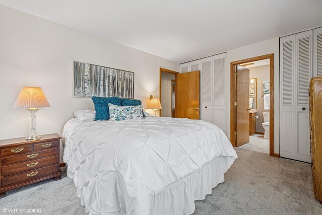 965 Sycamore Ct, Hoffman Estates, IL 60192 - carpeted bedroom featuring multiple closets and connected bathroom