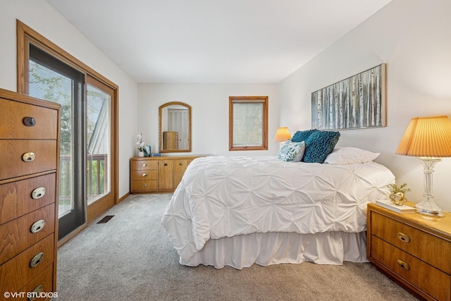 965 Sycamore Ct, Hoffman Estates, IL 60192 - view of carpeted bedroom