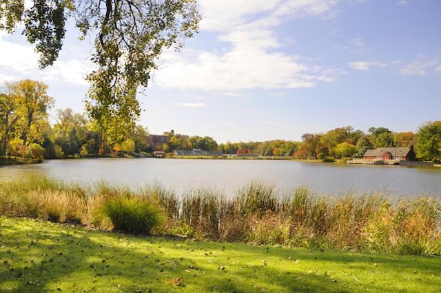845 Smith St, Glen Ellyn, IL 60137 - water view