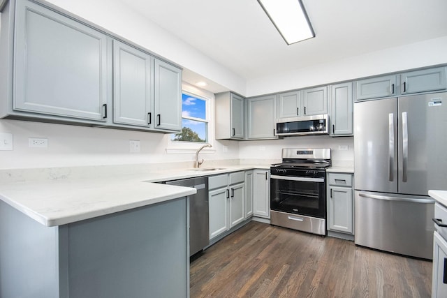 kitchen with a sink, gray cabinets, stainless steel appliances, and dark wood finished floors