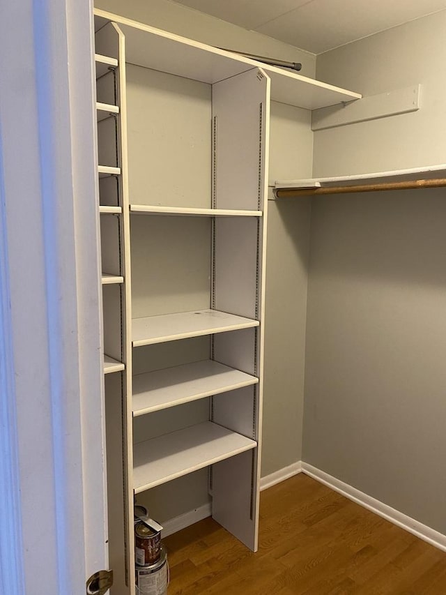 spacious closet featuring wood finished floors