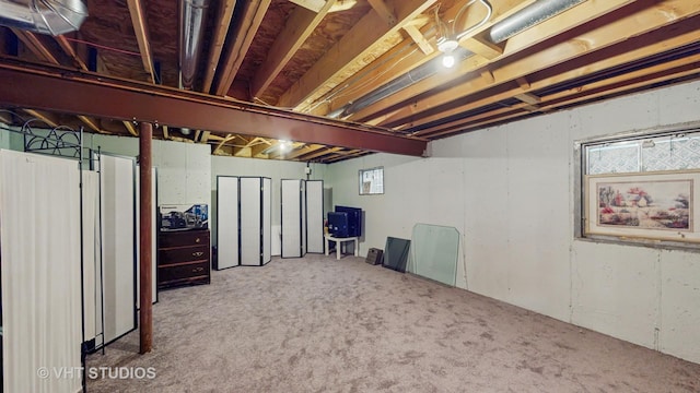 unfinished basement featuring carpet floors