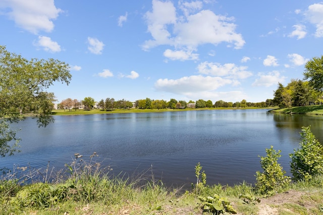 907 Banbury Ct, Schaumburg, IL 60194 - water view
