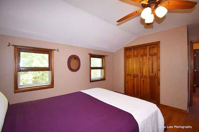5N850 Ravine Dr, Saint Charles, IL 60175 - bedroom with multiple windows, lofted ceiling, wood finished floors, a closet, and ceiling fan