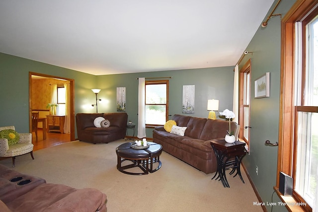 5N850 Ravine Dr, Saint Charles, IL 60175 - living area featuring plenty of natural light and carpet