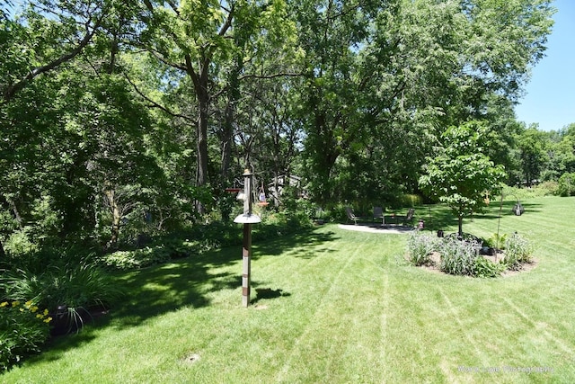 5N850 Ravine Dr, Saint Charles, IL 60175 - view of green lawn