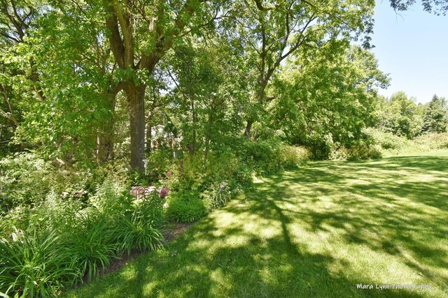 5N850 Ravine Dr, Saint Charles, IL 60175 - view of grassy yard
