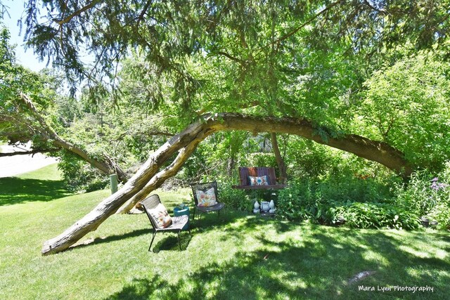 5N850 Ravine Dr, Saint Charles, IL 60175 - view of playground with a lawn