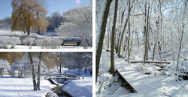 5N850 Ravine Dr, Saint Charles, IL 60175 - view of yard covered in snow