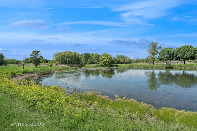 1008 W Weathersfield Way, Schaumburg, IL 60193 - water view