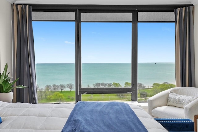 bedroom featuring a water view and multiple windows