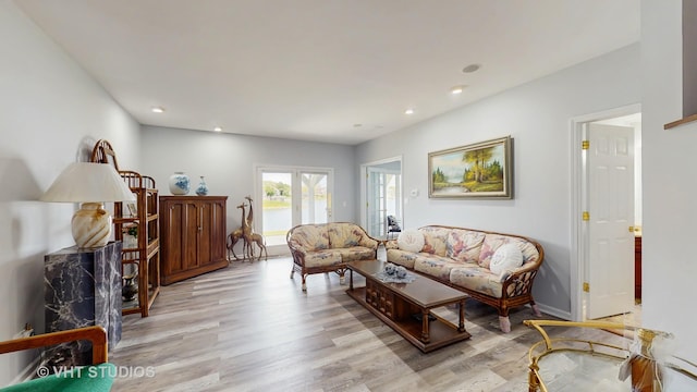 23118 Lacroix Ln, Plainfield, IL 60544 - living area with light wood-style flooring and recessed lighting