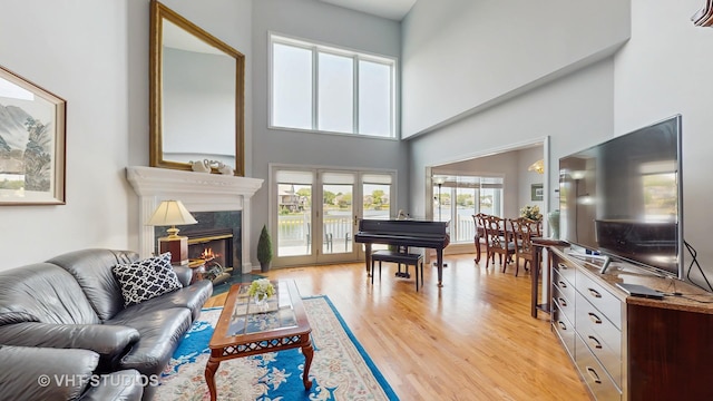 23118 Lacroix Ln, Plainfield, IL 60544 - living area featuring light wood-style flooring, a fireplace, and a towering ceiling
