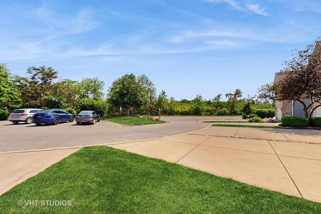 23118 Lacroix Ln, Plainfield, IL 60544 - view of road