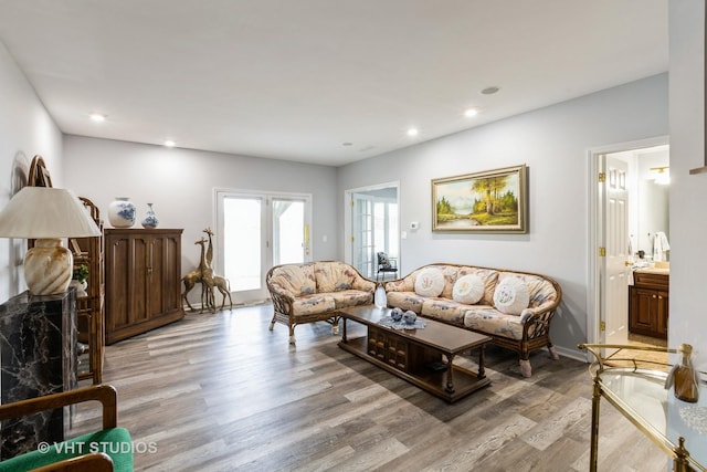 23118 Lacroix Ln, Plainfield, IL 60544 - living room featuring light wood-style floors and recessed lighting