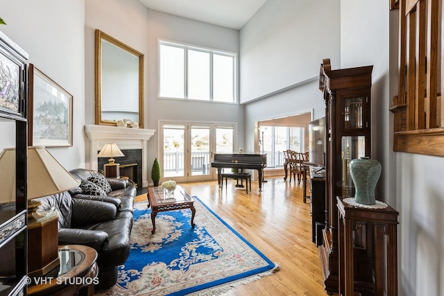 23118 Lacroix Ln, Plainfield, IL 60544 - living room with wood finished floors, a towering ceiling, a glass covered fireplace, and french doors