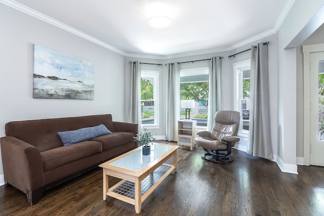 living room with crown molding, wood finished floors, and baseboards