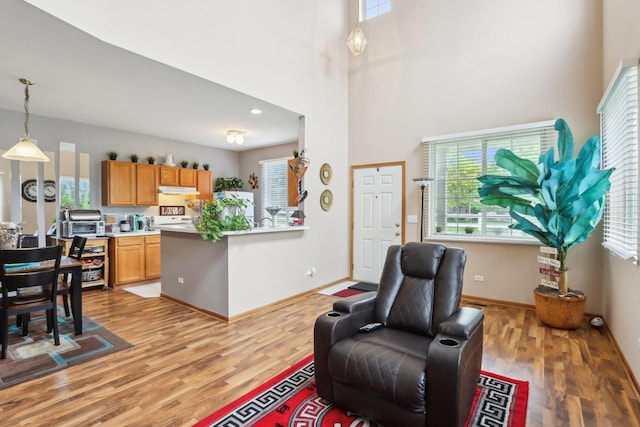 143 Foxglove Unit 143, Romeoville, IL 60446 - living room featuring light wood-style flooring, baseboards, and a towering ceiling