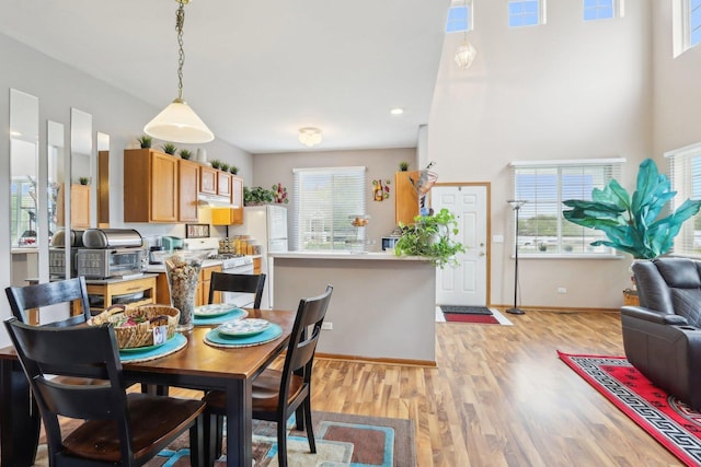143 Foxglove Unit 143, Romeoville, IL 60446 - dining area featuring light wood finished floors, healthy amount of natural light, baseboards, and a high ceiling