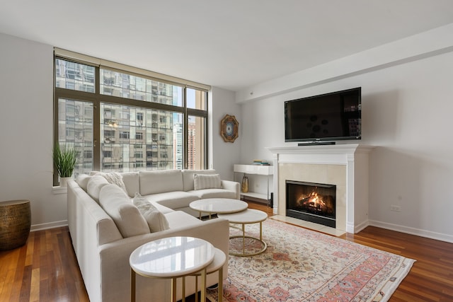 living room featuring expansive windows, baseboards, wood finished floors, and a fireplace