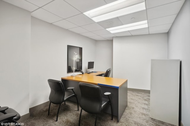office area featuring baseboards, carpet, and a drop ceiling