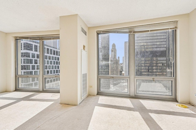 entryway featuring carpet floors and a view of city