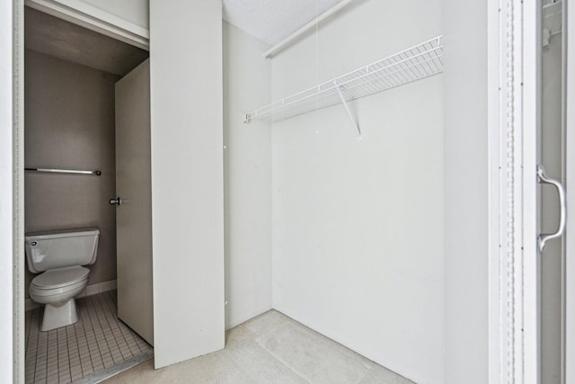 spacious closet featuring carpet flooring