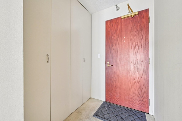 interior space with carpet flooring and a textured ceiling