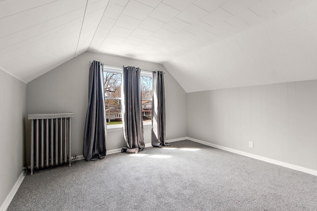 14835 Kildare Ave, Midlothian, IL 60445 - bonus room featuring carpet floors, baseboards, radiator heating unit, and vaulted ceiling