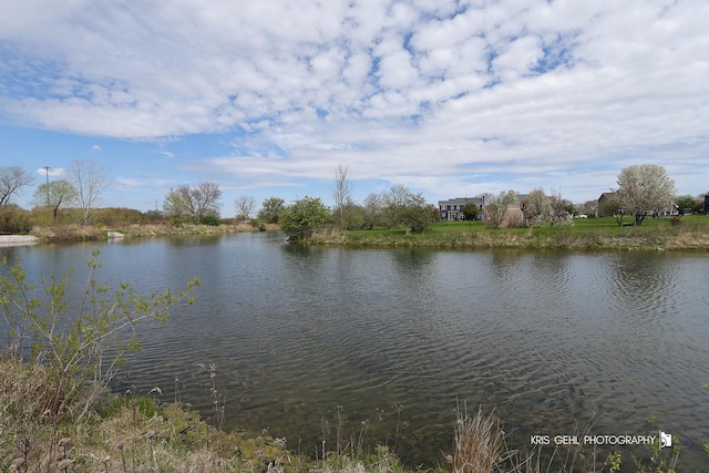 13464 W Hidden Springs Trl, Wadsworth, IL 60083 - view of water feature