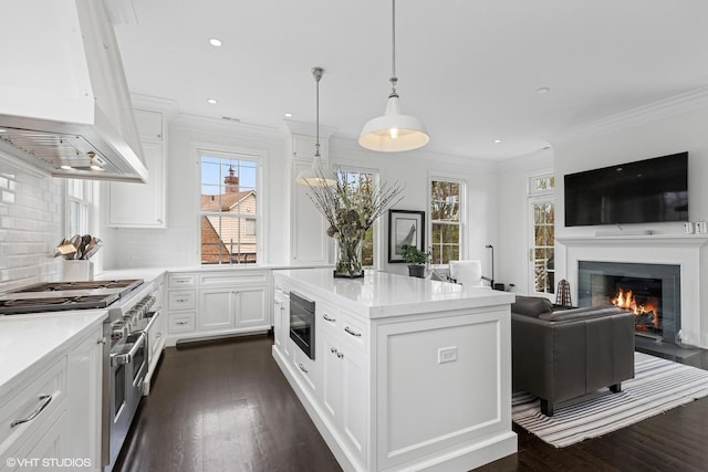 847 N Mckinley Rd, Lake Forest, IL 60045 - kitchen with appliances with stainless steel finishes, extractor fan, plenty of natural light, dark wood finished floors, and crown molding