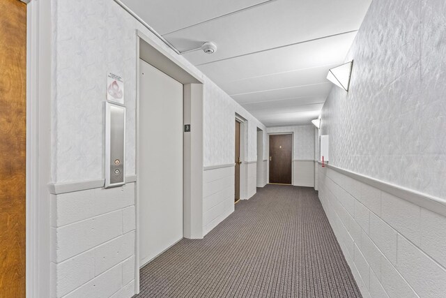hall featuring carpet floors and a wainscoted wall