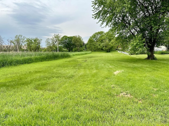 316 S Bernice Ct, Round Lake, IL 60073