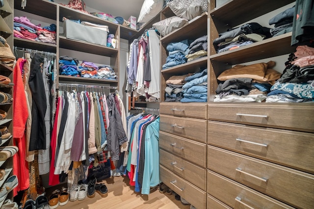 spacious closet with wood finished floors