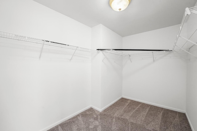 spacious closet with carpet flooring
