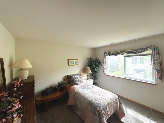 3512 Blue Ridge Ct, Carpentersville, IL 60110 - bedroom with carpet flooring and baseboards