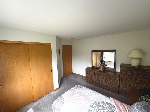 3512 Blue Ridge Ct, Carpentersville, IL 60110 - bedroom featuring carpet, a closet, and baseboards
