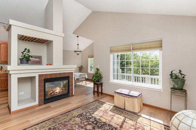 2270 Twilight Dr Unit 2270, Aurora, IL 60503 - living room featuring light wood-type flooring, vaulted ceiling, baseboards, and a fireplace
