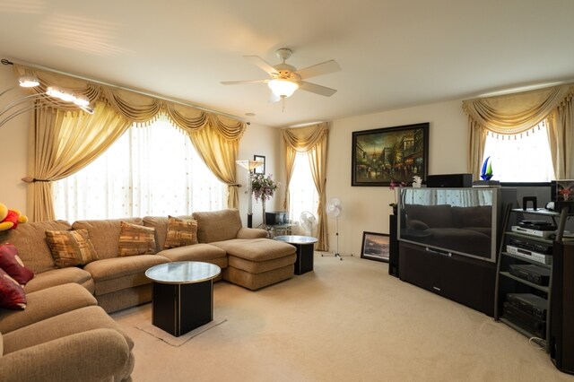 984 Ashbrook Cir, Bolingbrook, IL 60440 - photo 11