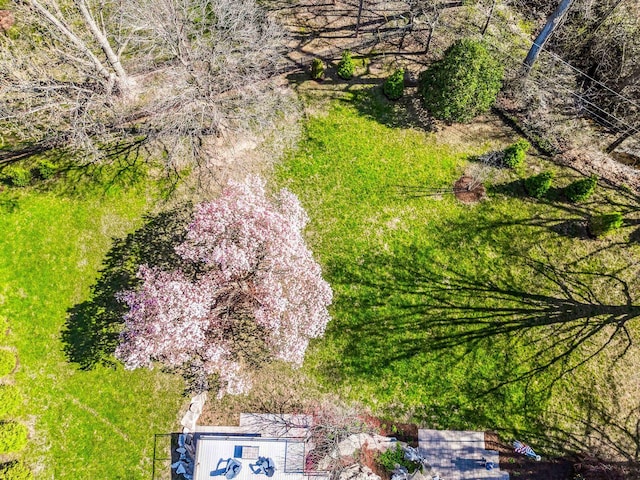 221 Parkview Dr, Bloomington, IL 61701 - view of subject property