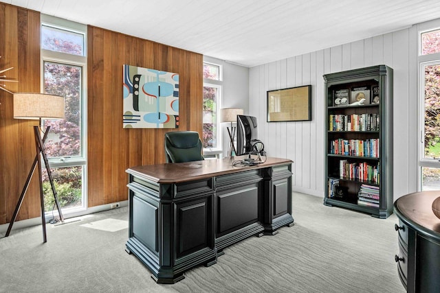 221 Parkview Dr, Bloomington, IL 61701 - office space featuring light colored carpet, plenty of natural light, and wooden walls