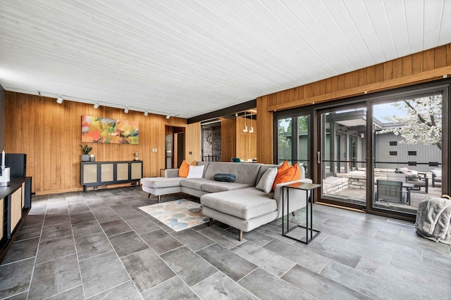 221 Parkview Dr, Bloomington, IL 61701 - living area with wooden walls and rail lighting