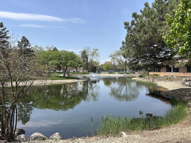 1216 S New Wilke Rd Unit 106, Arlington Heights, IL 60005 - property view of water