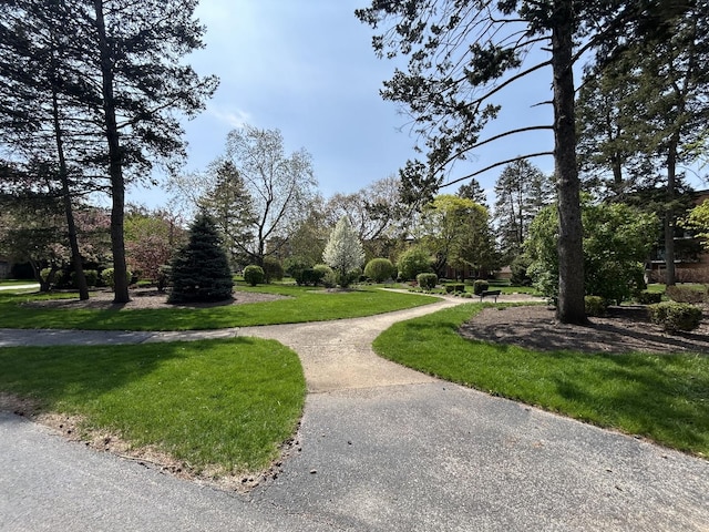 1216 S New Wilke Rd Unit 106, Arlington Heights, IL 60005 - surrounding community featuring a lawn
