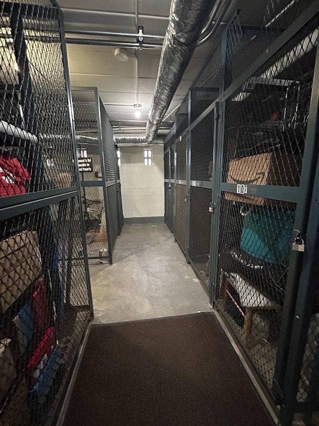 1216 S New Wilke Rd Unit 106, Arlington Heights, IL 60005 - view of storage area